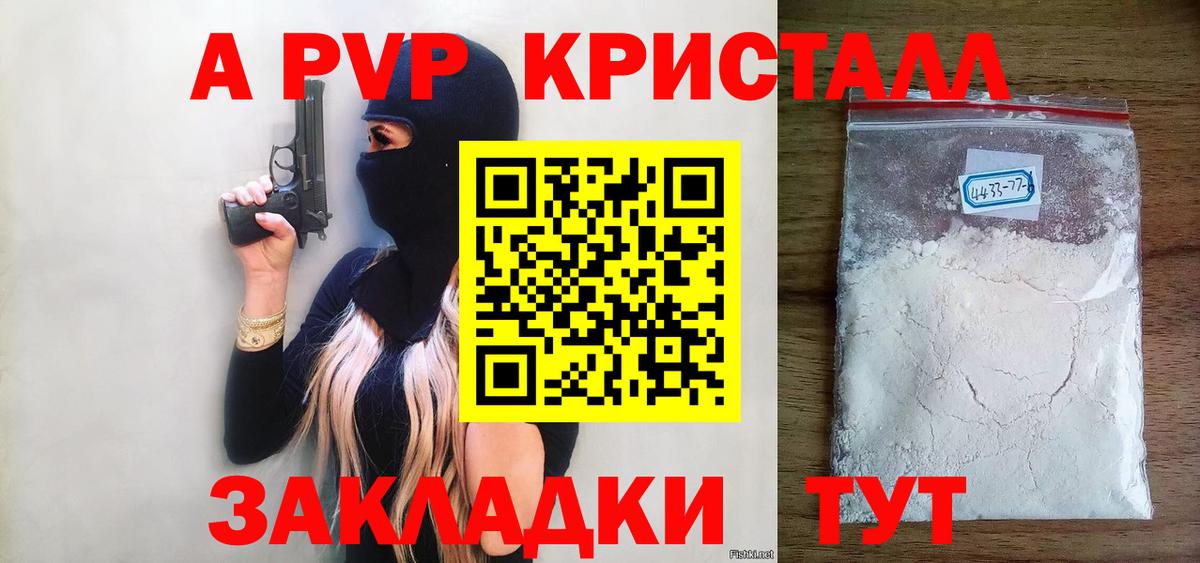 Будённовск  A PVP СК  Вход с VPN  Альфа ПВП крисы CK 