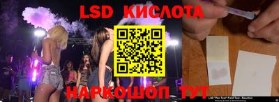 прущие грибы Краснознаменск