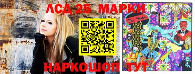 прущие грибы Краснознаменск