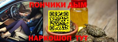 прущие грибы Краснознаменск