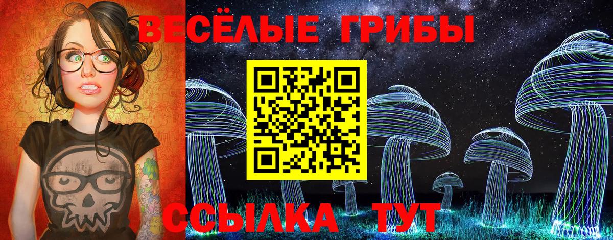 Галлюциногенные грибы Cubensis Будённовск
