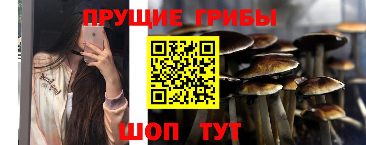 Галлюциногенные грибы прущие грибы  Вход с VPN  Будённовск 
