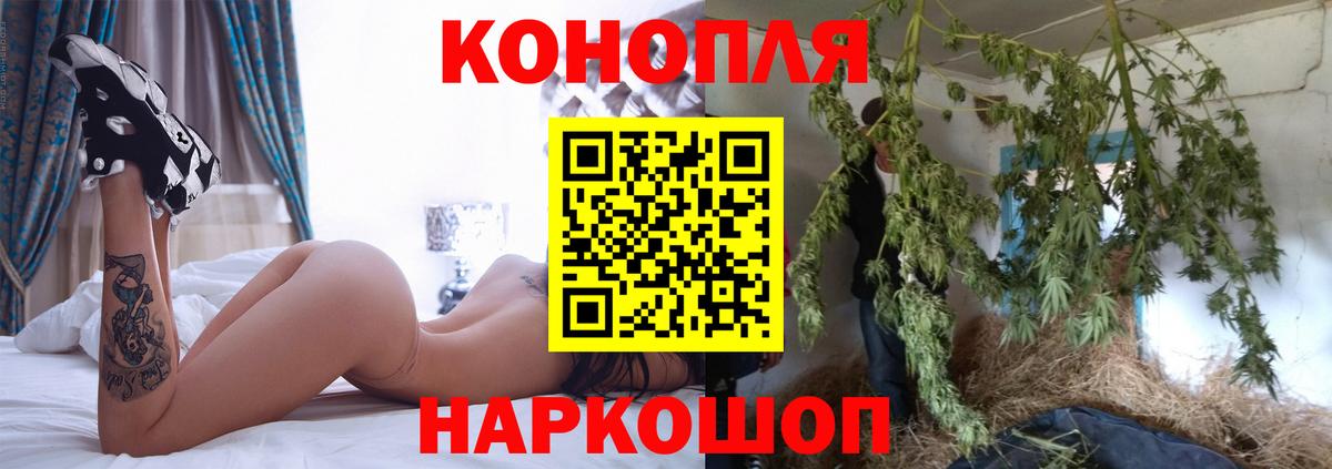 Шишки марихуана семена  Вход с VPN  Марихуана White Widow  Будённовск  Каннабис план  Марихуана индика 